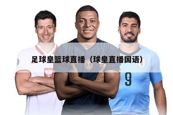 足球皇篮球直播（球皇直播国语）