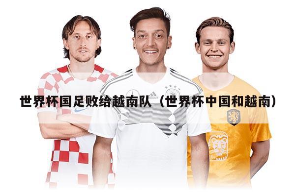 世界杯国足败给越南队（世界杯中国和越南）