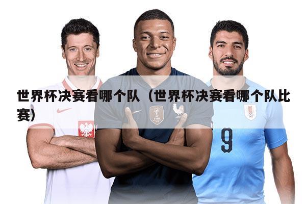 世界杯决赛看哪个队（世界杯决赛看哪个队比赛）