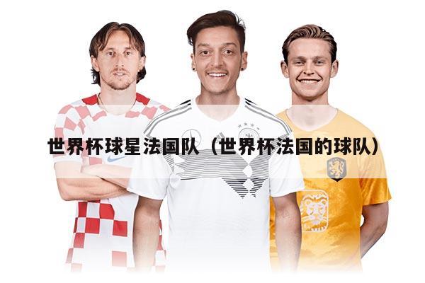 世界杯球星法国队（世界杯法国的球队）