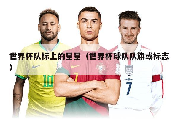 世界杯队标上的星星（世界杯球队队旗或标志）
