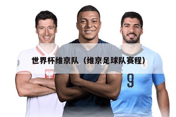 世界杯维京队（维京足球队赛程）