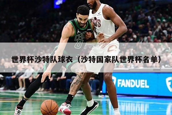 世界杯沙特队球衣（沙特国家队世界杯名单）