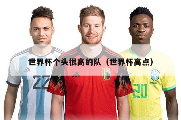 世界杯个头很高的队（世界杯高点）