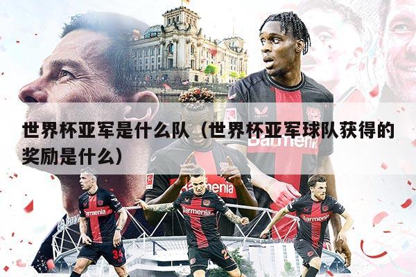 世界杯亚军是什么队（世界杯亚军球队获得的奖励是什么）