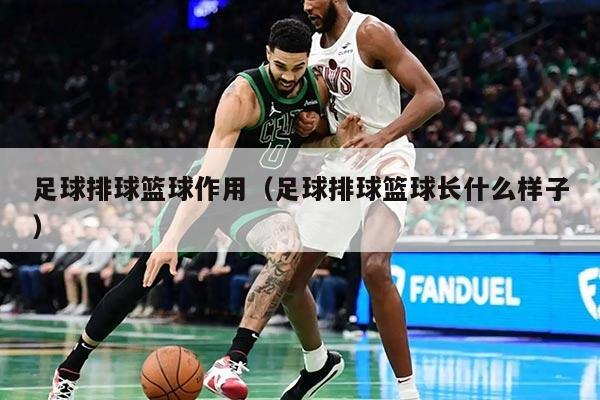 足球排球篮球作用（足球排球篮球长什么样子）