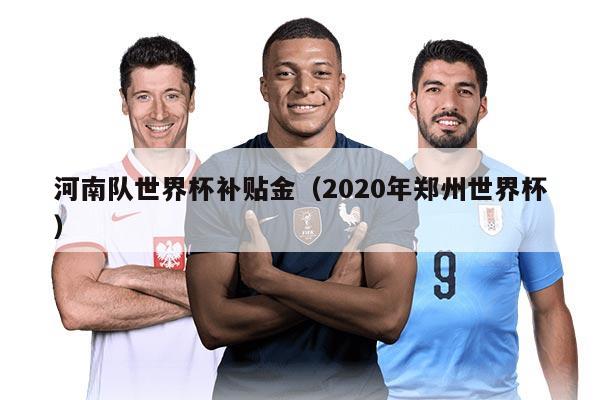 河南队世界杯补贴金（2020年郑州世界杯）