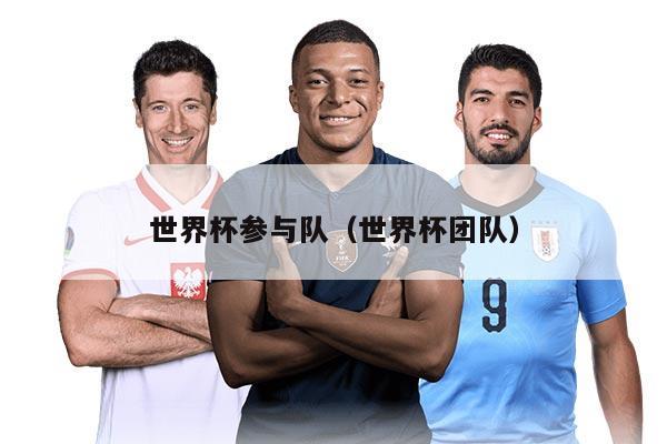 世界杯参与队（世界杯团队）