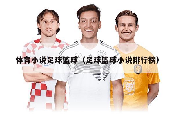 体育小说足球篮球（足球篮球小说排行榜）