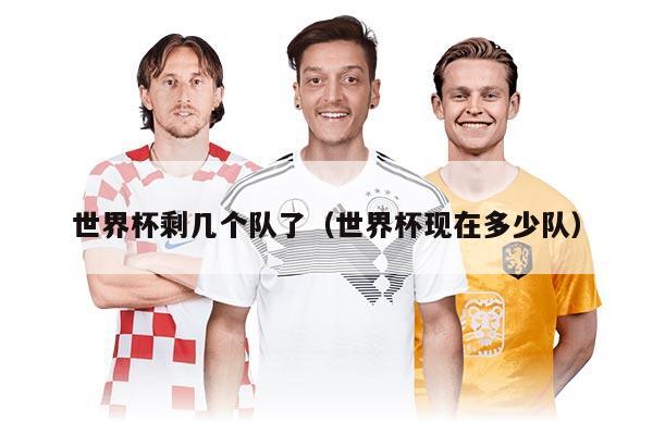 世界杯剩几个队了（世界杯现在多少队）