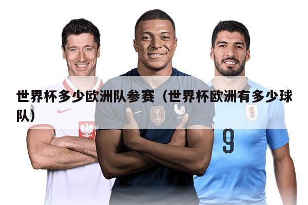 世界杯多少欧洲队参赛（世界杯欧洲有多少球队）