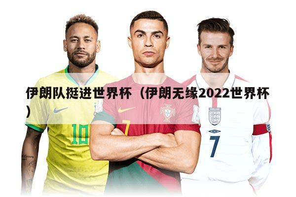 伊朗队挺进世界杯（伊朗无缘2022世界杯）