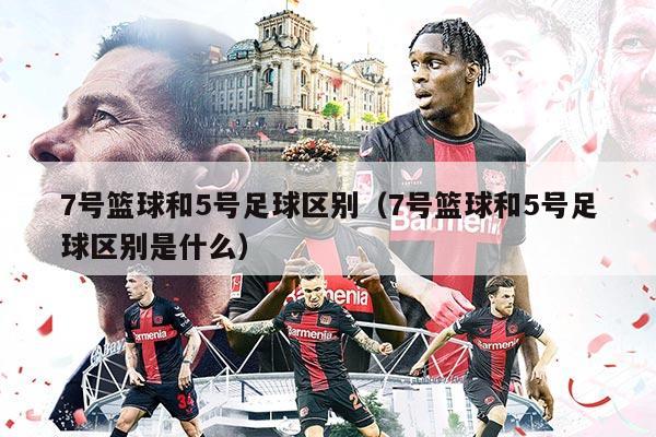 7号篮球和5号足球区别（7号篮球和5号足球区别是什么）