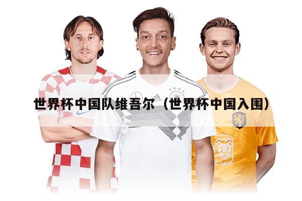 世界杯中国队维吾尔（世界杯中国入围）