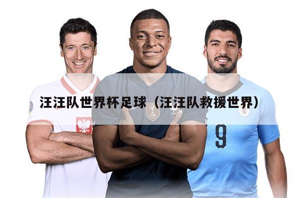 汪汪队世界杯足球（汪汪队救援世界）
