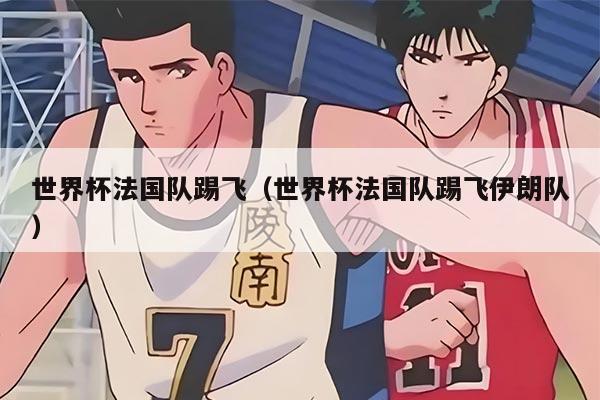 世界杯法国队踢飞（世界杯法国队踢飞伊朗队）