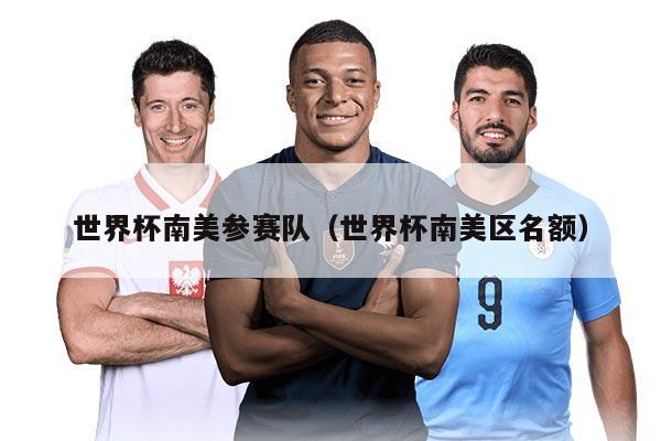 世界杯南美参赛队（世界杯南美区名额）