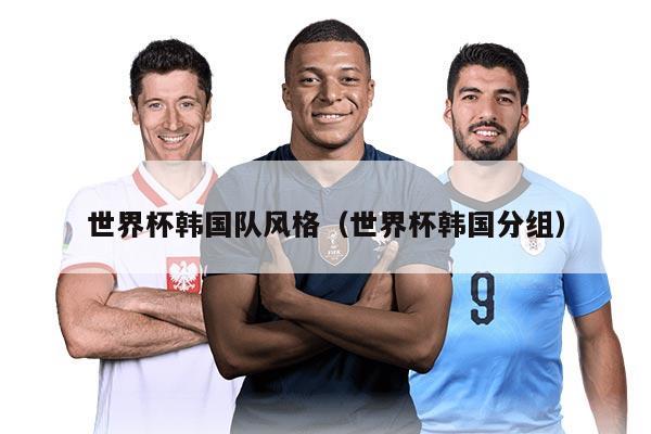世界杯韩国队风格（世界杯韩国分组）