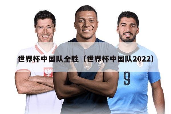 世界杯中国队全胜（世界杯中国队2022）