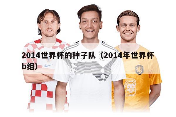 2014世界杯的种子队（2014年世界杯b组）