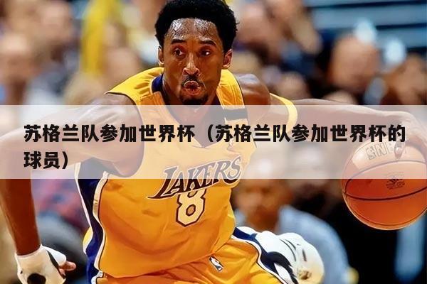 苏格兰队参加世界杯（苏格兰队参加世界杯的球员）