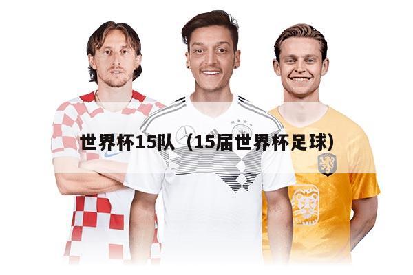 世界杯15队（15届世界杯足球）