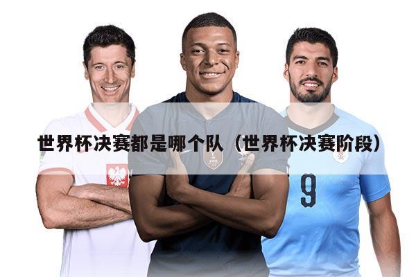 世界杯决赛都是哪个队（世界杯决赛阶段）