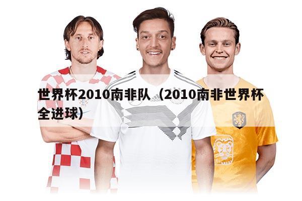 世界杯2010南非队（2010南非世界杯全进球）