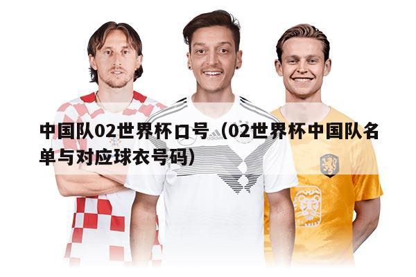 中国队02世界杯口号（02世界杯中国队名单与对应球衣号码）