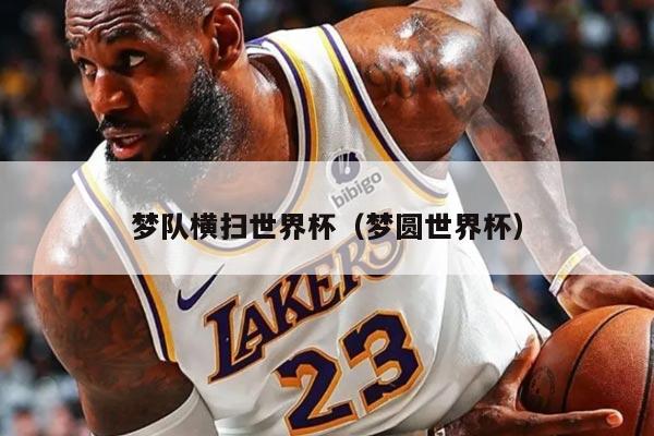 梦队横扫世界杯（梦圆世界杯）