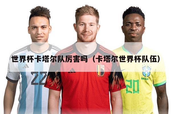 世界杯卡塔尔队厉害吗（卡塔尔世界杯队伍）