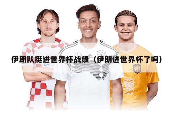 伊朗队挺进世界杯战绩（伊朗进世界杯了吗）