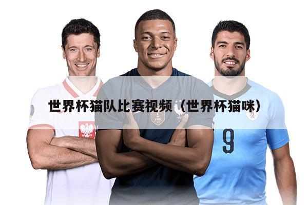 世界杯猫队比赛视频（世界杯猫咪）