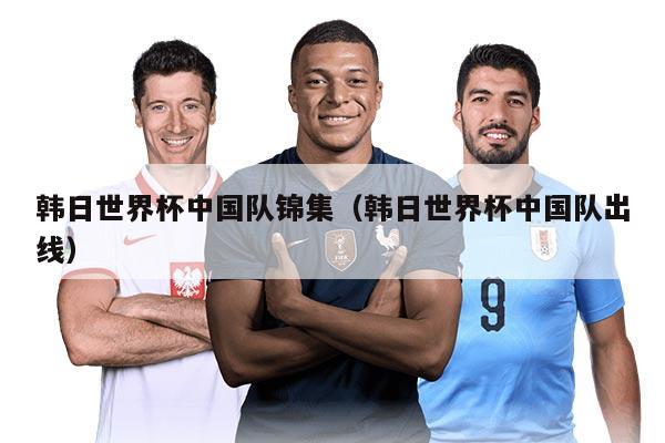韩日世界杯中国队锦集（韩日世界杯中国队出线）