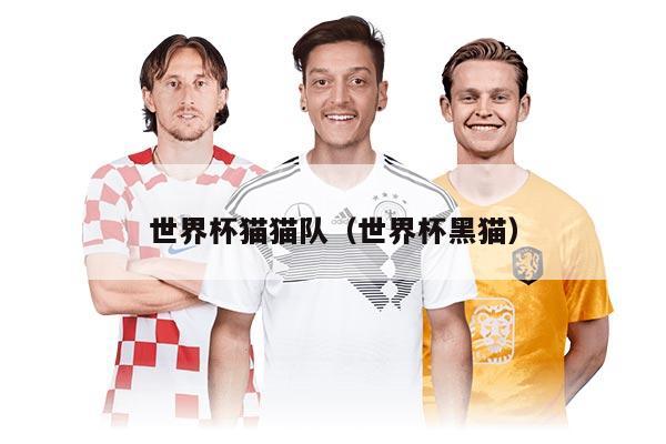 世界杯猫猫队（世界杯黑猫）