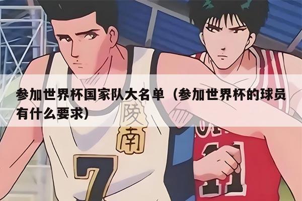 参加世界杯国家队大名单（参加世界杯的球员有什么要求）