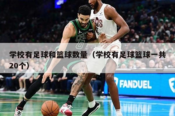 学校有足球和篮球数量（学校有足球篮球一共20个）