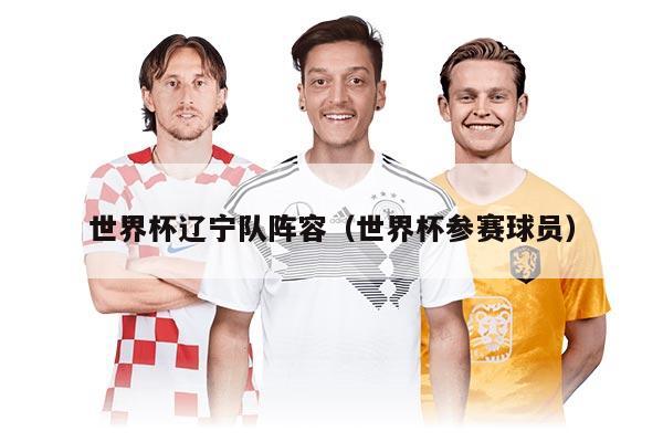 世界杯辽宁队阵容（世界杯参赛球员）