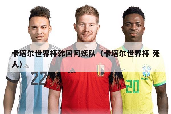 卡塔尔世界杯韩国阿姨队（卡塔尔世界杯 死人）