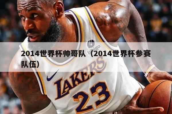 2014世界杯帅哥队（2014世界杯参赛队伍）