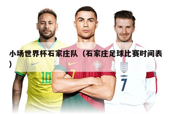 小场世界杯石家庄队（石家庄足球比赛时间表）