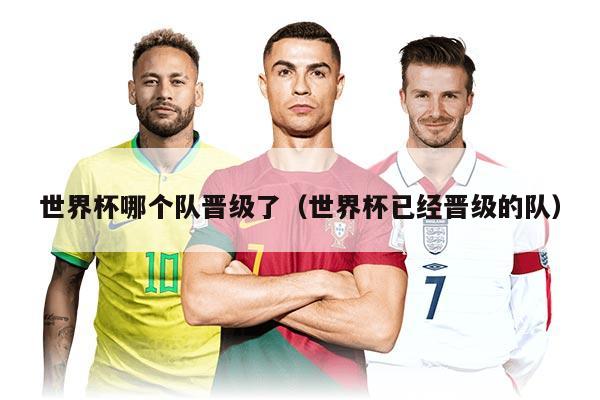 世界杯哪个队晋级了（世界杯已经晋级的队）