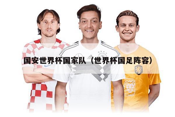 国安世界杯国家队（世界杯国足阵容）