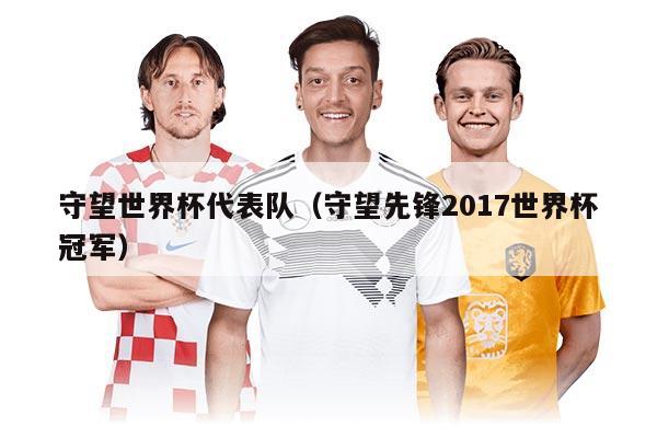 守望世界杯代表队（守望先锋2017世界杯冠军）