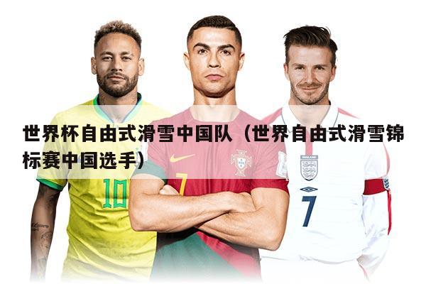 世界杯自由式滑雪中国队（世界自由式滑雪锦标赛中国选手）