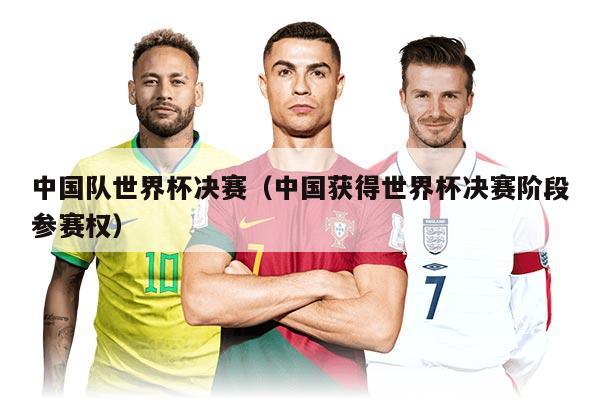 中国队世界杯决赛（中国获得世界杯决赛阶段参赛权）