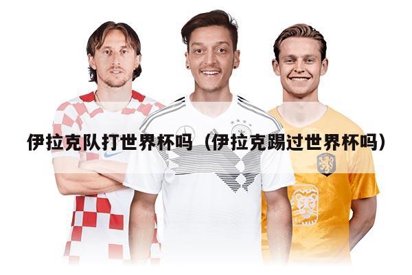 伊拉克队打世界杯吗（伊拉克踢过世界杯吗）
