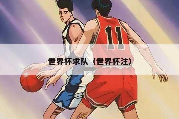 世界杯求队（世界杯注）
