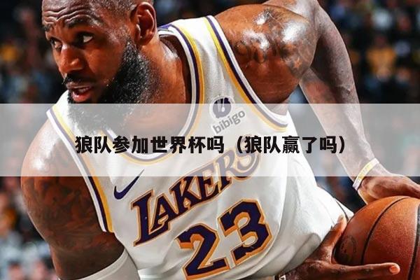 狼队参加世界杯吗（狼队赢了吗）