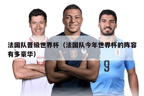 法国队晋级世界杯（法国队今年世界杯的阵容有多豪华）